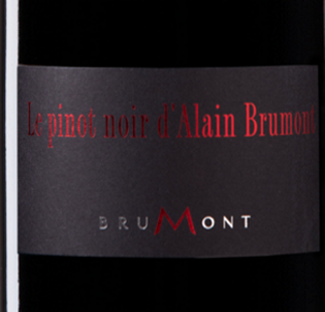 Le Pinot noir d'Alain Brumont